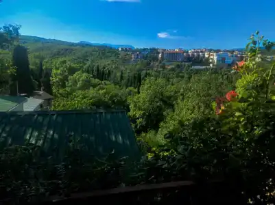 Кипарисовый дворик - 24