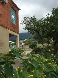 Аграа - 4