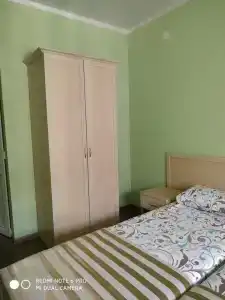 Орхидея - 11