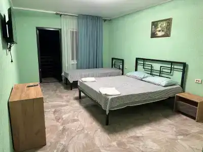 Гортензия - 3