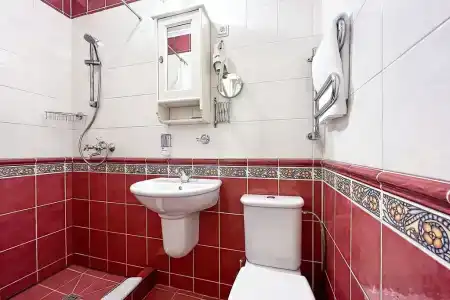 Серебряный век - 52