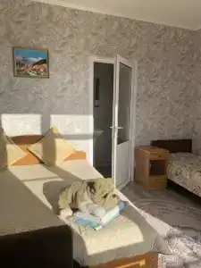 Светлана - 10