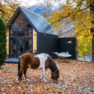 WoodVillas - 11