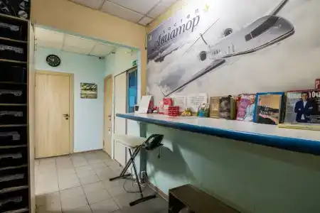 Авиатор - 33