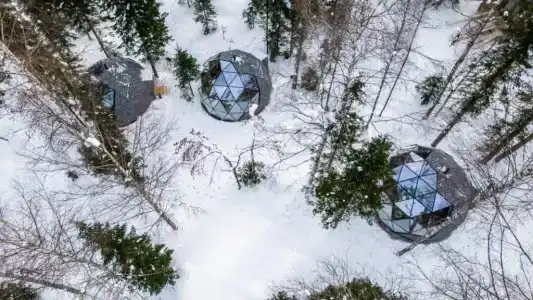 Тайгара - 14