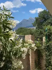 Pastoral - 6