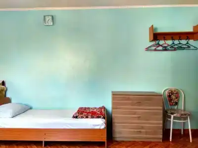 Домик у Ларисы на Горького - 7