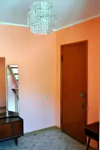 Домик у Ларисы на Горького - 11