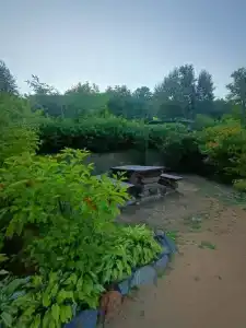 Лесное озеро - 10