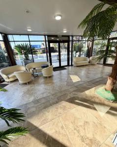 Palm Resort - 0