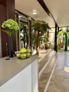 Palm Resort - 2