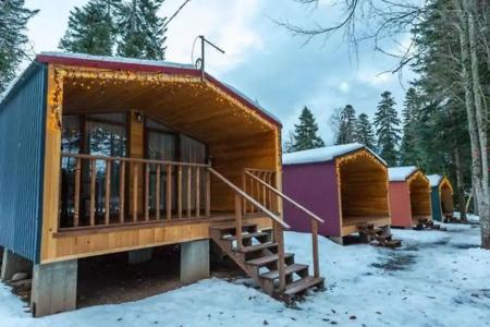 Forest House Resort - 2