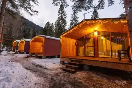 Forest House Resort - 3