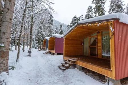 Forest House Resort - 7