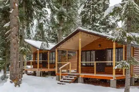 Forest House Resort - 5