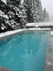Forest House Resort - 1