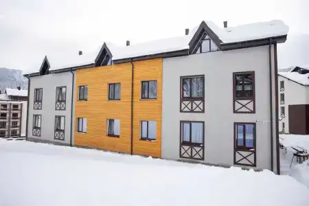 Баринъ - 1