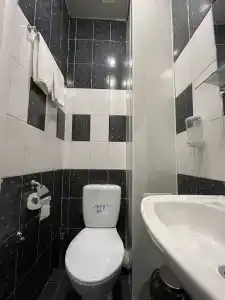 Колибри - 21