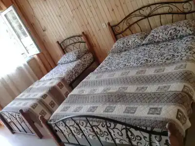 Гаянэ - 2