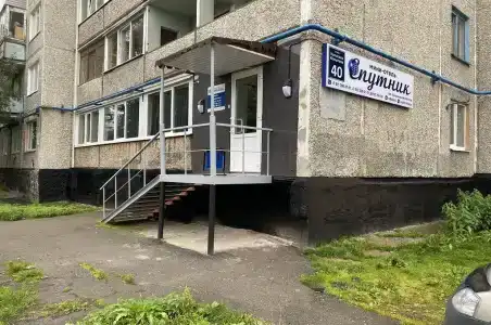 Спутник - 3