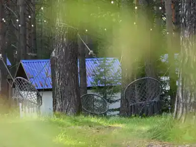 Дух тайги - 4