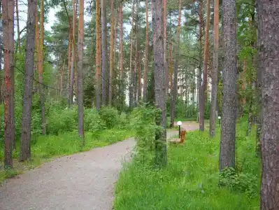 Загородный комплекс Яхонтовый Лес - 13