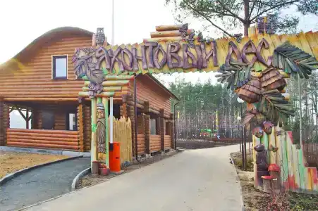 Загородный комплекс Яхонтовый Лес - 15