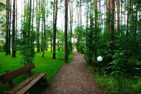 Загородный комплекс Яхонтовый Лес - 19