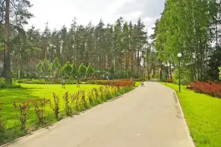 Загородный комплекс Яхонтовый Лес - 21