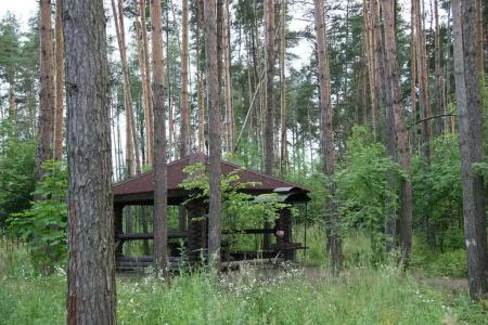 Загородный комплекс Яхонтовый Лес - 28