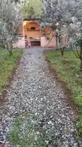 Breeze - 0