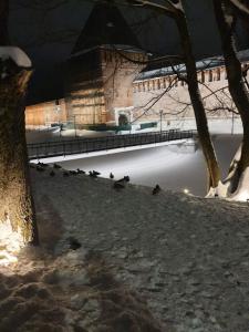 В историческом центре Смоленска - 27