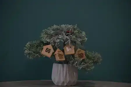 Sweet Home - 5