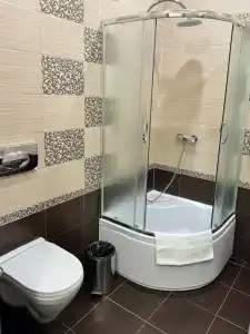 Веста - 20