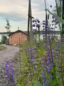 Мичуринское озеро - 10