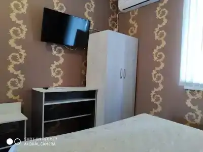 Два дельфина - 16