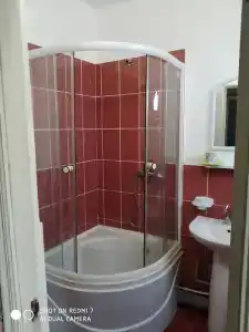 Два дельфина - 17