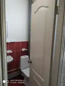 Два дельфина - 18