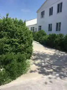 Два дельфина - 19