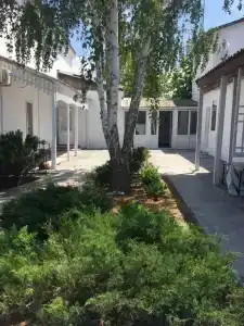 Два дельфина - 20