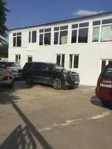 Два дельфина - 21