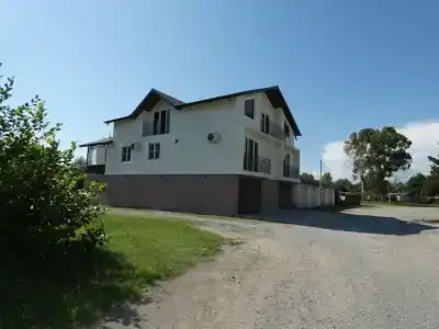 Гости - 2