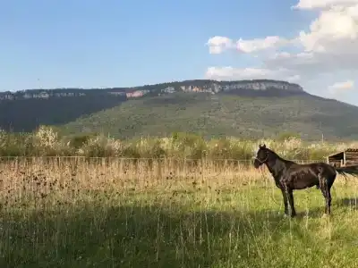 Горное Озеро Травел Хотелс Антураж - 29