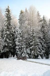 Usadba Royal Hall - 1