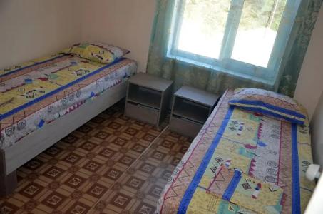 Два дельфина - 24