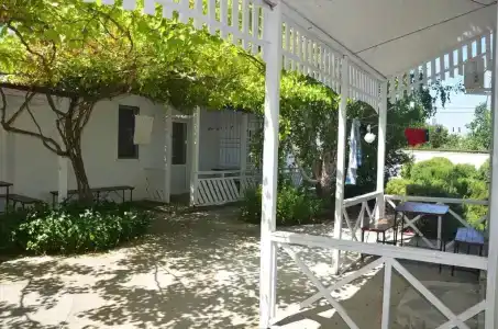 Два дельфина - 26