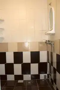 Два дельфина - 28