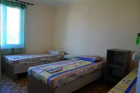 Два дельфина - 31