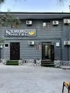 Semurg - 1