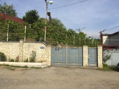 Квициния 24 - 1